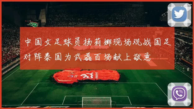 中国女足球员杨莉娜现场观战国足对阵泰国为武磊百场献上敬意